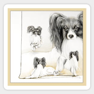 Papillon Dog from an original painting. Sticker